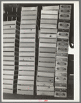 Fruit crates. Loomis, California