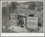 Fruit farmer in springhouse. Placer County, California. Notice the electric pump which makes possible running water in the house