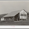 Packing shed and barn of fruit farmer. Placer County, California
