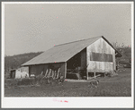 Packing shed and barn of fruit farmer. Placer County, California