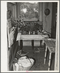 Corner of kitchen in fruit farmer's house. Placer County, California