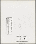 Corner of kitchen in fruit farmer's house. Placer County, California