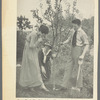 Publicity photograph of Peggy Wood, Rida Johnson Young and Charles Purcell planting a tree during the stage production  Maytime as published in Theatre Magazine, July 1918