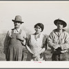 Fruit farmer, his wife and son. Placer County, California. He has owned his eighty acre farm for about thirty-four years. "It's pretty but what's it good for? The trees aren't worth the land they stand on," he says