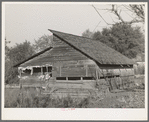 Packing shed of fruit farmer. Placer County, California