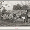 House of farmer from Oklahoma who has bought farm through the Federal Land Bank. Placer County, California. His son and daughter-in-law and their two children live in a better house on the same farm and they farm jointly