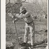 Farmer from Oklahoma who has bought land in Placer County through Federal Land Bank. He is cleaning out an irrigation ditch. California