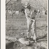 Farmer using sacking to bank irrigation ditch. Placer County, California. He is from Oklahoma
