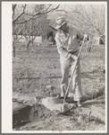 Farmer using sacking to bank irrigation ditch. Placer County, California. He is from Oklahoma