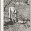 Farmer using sacking to bank irrigation ditch. Placer County, California. He is from Oklahoma