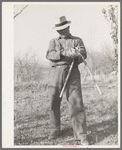 Farmer. Placer County, California