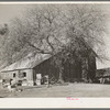 Barn of fruit farmer. Placer County, California