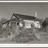 Unkept yards are common as farmers' incomes creep lower when they lose markets for their fruit. Placer County, California