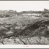 Irrigation pipe. Placer County, California