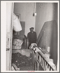 Coal storage in hall of apartment house rented to Negroes. Chicago, Illinois