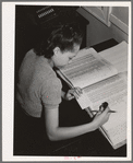 Bookkeeper of insurance company. Chicago, Illinois