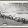 Hagenbeck-Wallace Circus. Cheerful Gardner and his Bulls [at Yankee Stadium]