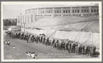 Hagenbeck-Wallace Circus. Cheerful Gardner and his Bulls [at Yankee Stadium]