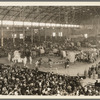 Ringling Bros and Barnum and Bailey Combined Circus [at the Bronx Coliseum]