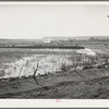 The start of flood irrigation on the hay fields in the valley of the Little Colorado River Valley