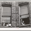 Window of apartment house rented to Negroes. Chicago, Illinois