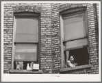 Window of apartment house rented to Negroes. Chicago, Illinois