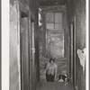 Hall of second floor of building rented as rooming house. Chicago, Illinois
