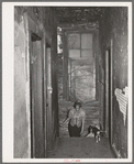 Hall of second floor of building rented as rooming house. Chicago, Illinois