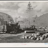 Log loading station of small logging camp. Baker County, Oregon