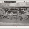 Children playing under wagon at the Schroder farm, FSA (Farm Security Administration) rehabilitation borrowers living on Dead Ox Flat. Vale-Owyhee irrigation project, Malheur County, Oregon