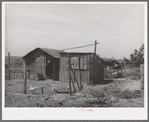 Chicken house and shed on the farm of the Schroeder family, FSA (Farm Security Administration) rehabilitation borrowers living on Dead Ox Flat. Vale-Owyhee irrigation project, Malheur County, Oregon