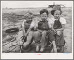 Children of Ray Halstead, FSA (Farm Security Administration) rehabilitation borrower. Dead Ox Flat, Malheur County, Oregon