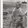 Son of Ray Halstead, FSA (Farm Security Administration) rehabilitation borrower living on Dead Ox Flat. Malheur County, Oregon