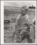 Son of Ray Halstead, FSA (Farm Security Administration) rehabilitation borrower living on Dead Ox Flat. Malheur County, Oregon