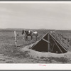 Chicken shed on farm of Mr. Browning, FSA ( Farm Security Administration) rehabilitation borrower. Dead Ox Flat, Malheur County, Oregon