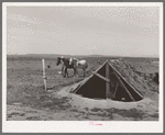 Chicken shed on farm of Mr. Browning, FSA ( Farm Security Administration) rehabilitation borrower. Dead Ox Flat, Malheur County, Oregon