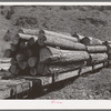 Logs on flatcar which take them into town from mountain logging camp. Baker County, Oregon