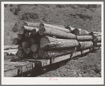 Logs on flatcar which take them into town from mountain logging camp. Baker County, Oregon