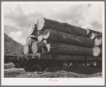 Logs on flatcar which will take them into town from mountain logging camp. The lumbering industry in the eastern part of the state was developed later than that in the western parts of the state but has gathered great speed. Income from forest products in