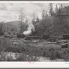 Loading logs onto flatcars to be transported to mill in town. Baker County, Oregon