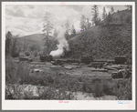 Loading logs onto flatcars to be transported to mill in town. Baker County, Oregon