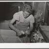 Mrs. Free, wife of FSA (Farm Security Administration) rehabilitation borrower, with baby chicks. Dead Ox Flat, Malheur County, Oregon