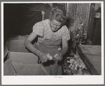 Mrs. Free, wife of FSA (Farm Security Administration) rehabilitation borrower, with baby chicks. Dead Ox Flat, Malheur County, Oregon