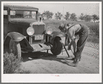 Mr. Ray Halstead, FSA (Farm Security Administration) rehabilitation borrower. Dead Ox Flat, Malheur County, Oregon