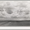 Farmland. Dead Ox Flat, Malheur County, Oregon
