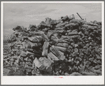 Pile of wood on farm of Mr. Free, FSA (Farm Security Administration) rehabilitation borrower. Dead Ox Flat, Malheur County, Oregon