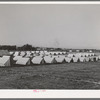 Tents of FSA (Farm Security Administration) migratory labor camp mobile unit. Wilder, Idaho