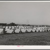 Tents of FSA (Farm Security Administration) migratory labor camp mobile unit. Wilder, Idaho
