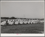 Tents of FSA (Farm Security Administration) migratory labor camp mobile unit. Wilder, Idaho