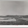 Farmland with farmhouse in distance